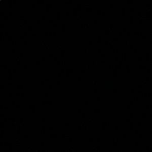 Meet your Posher, Layal